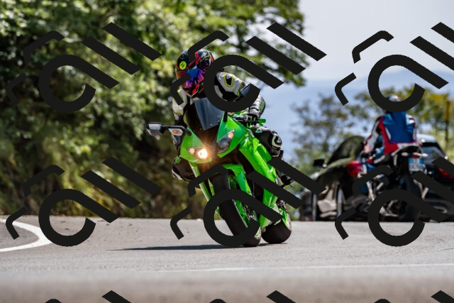 202509071458-DSC_8751_d2_