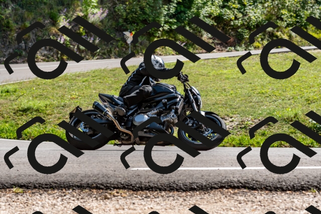 202509071501-DSC_8762_d2_