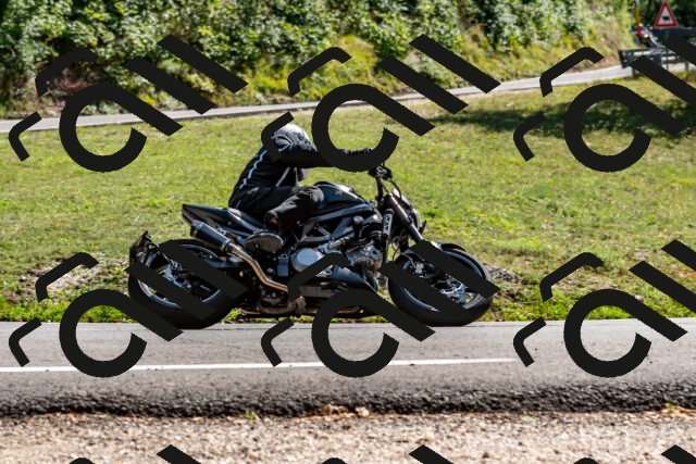 202509071501-DSC_8763_d2_