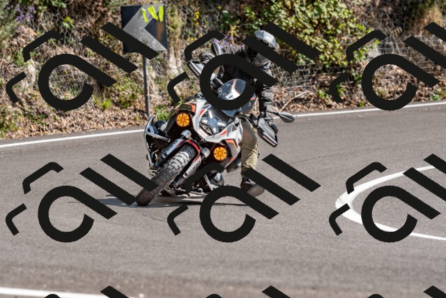 202509071502-DSC_8774_d2_