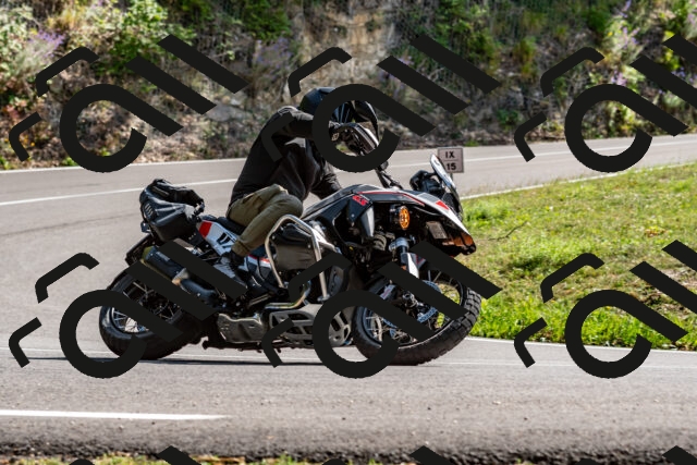 202509071502-DSC_8777_d2_