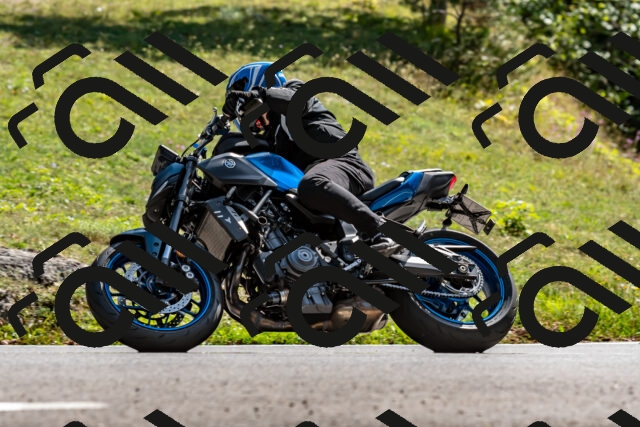 202509071510-DSC_8788_d2_