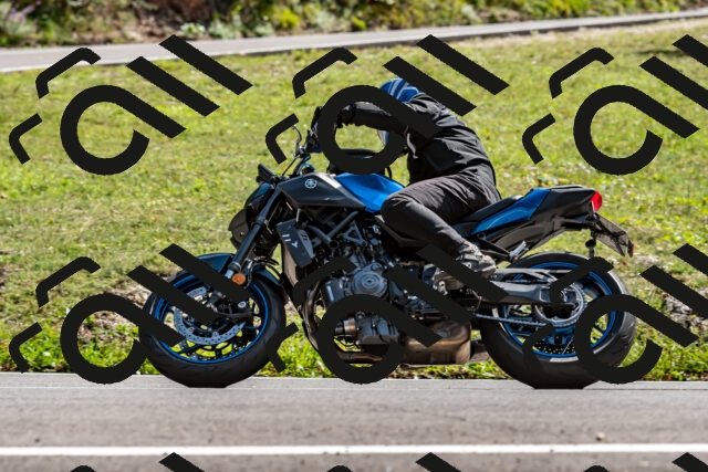 202509071510-DSC_8789_d2_