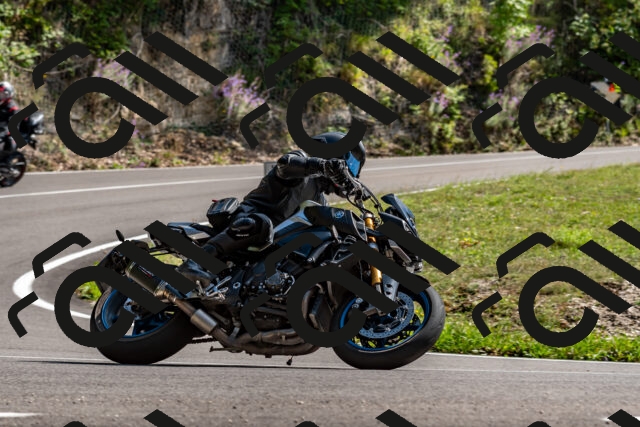 202509071519-DSC_8832_d2_