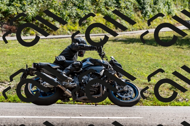 202509071519-DSC_8833_d2_