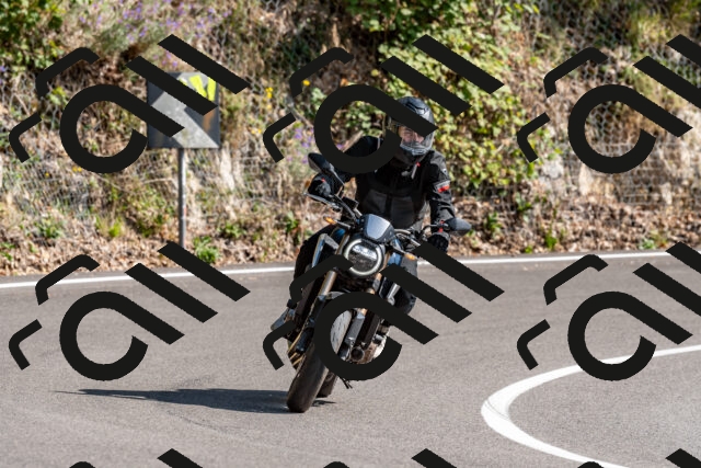 202509071528-DSC_8859_d2_