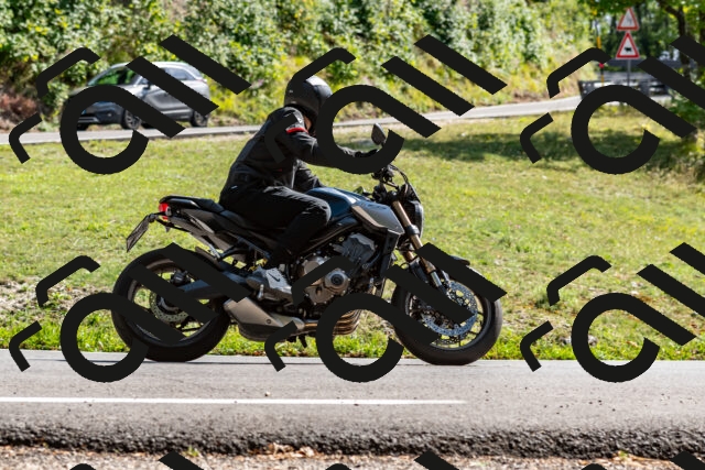 202509071528-DSC_8861_d2_