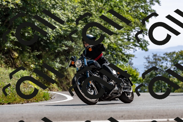 202509071529-DSC_8868_d2_