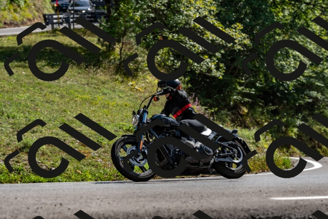 202509071529-DSC_8869_d2_