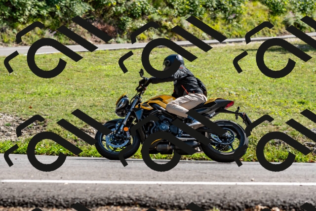 202509071529-DSC_8872_d2_