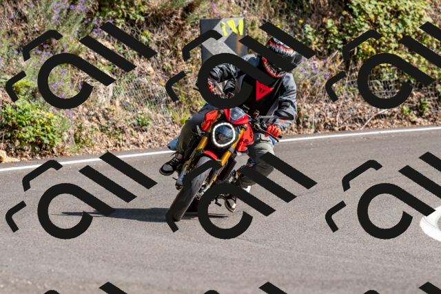 202509071533-DSC_8874_d2_