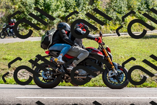 202509071533-DSC_8876_d2_