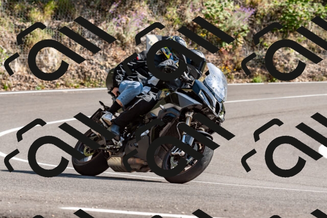 202509071536-DSC_8896_d2_