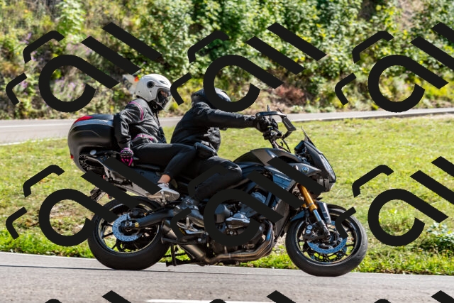 202509071536-DSC_8900_d2_