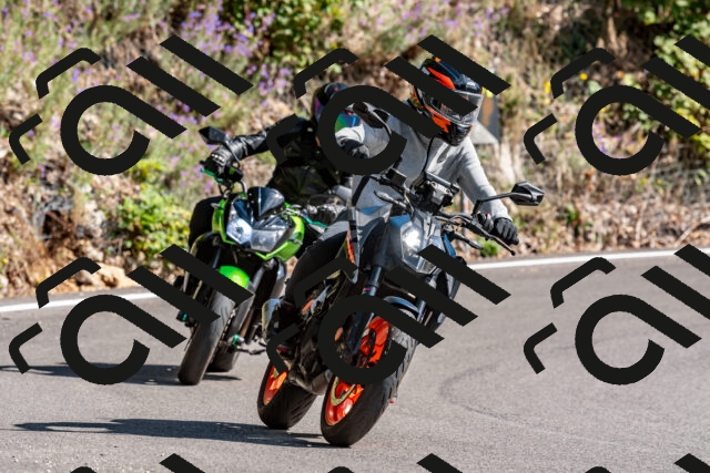 202509071538-DSC_8903_d2_