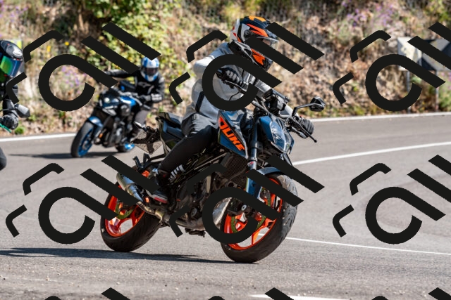 202509071538-DSC_8904_d2_