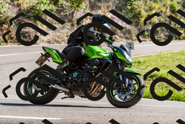 202509071538-DSC_8906_d2_