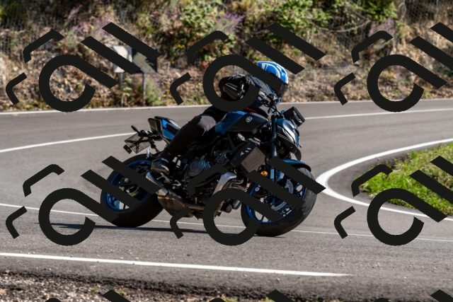 202509071538-DSC_8908_d2_