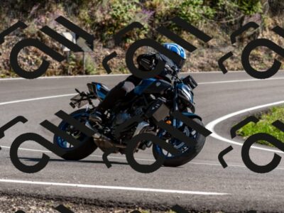 202509071538-DSC_8908_d2_