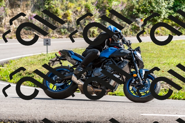 202509071538-DSC_8909_d2_