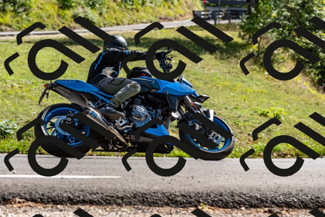 202509071539-DSC_8912_d2_