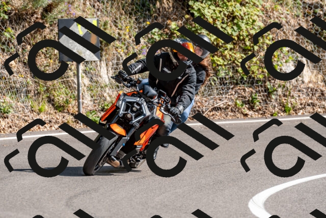 202509071539-DSC_8914_d2_