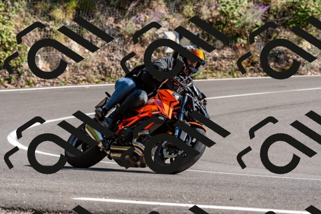 202509071539-DSC_8915_d2_