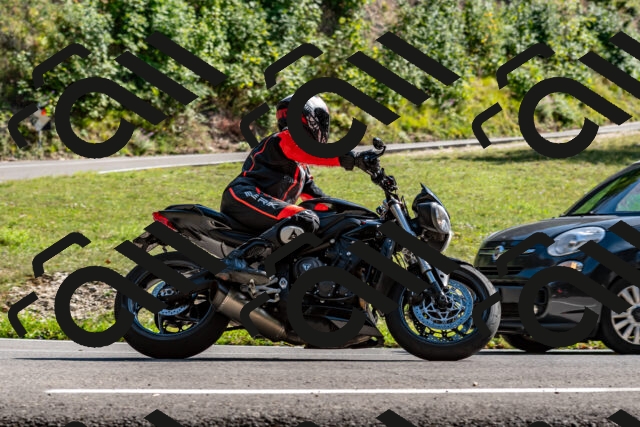 202509071542-DSC_8930_d2_