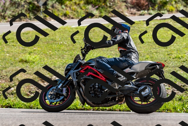 202509071547-DSC_8945_d2_