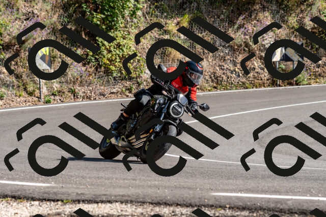 202509071548-DSC_8961_d2_