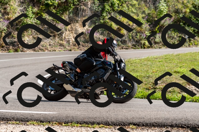 202509071548-DSC_8962_d2_