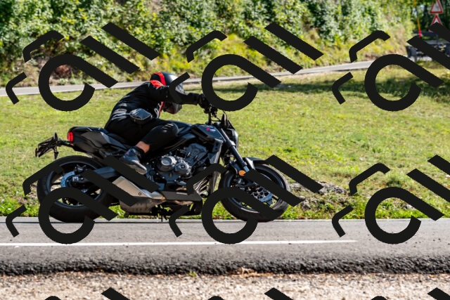 202509071548-DSC_8963_d2_