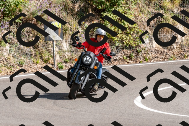 202509071550-DSC_8974_d2_