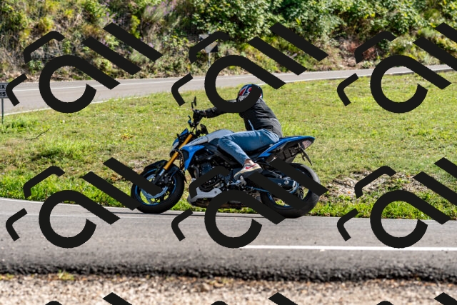 202509071554-DSC_8984_d2_