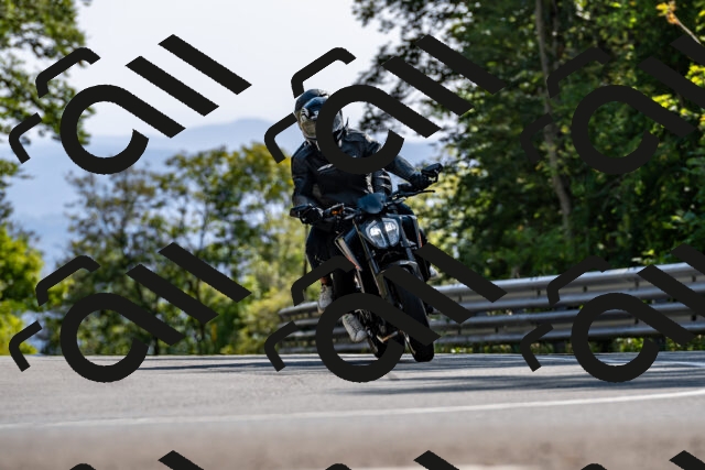 202509071554-DSC_8986_d2_