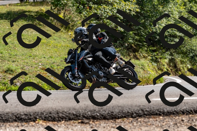 202509071554-DSC_8987_d2_