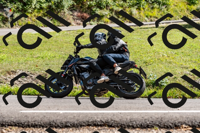 202509071554-DSC_8988_d2_