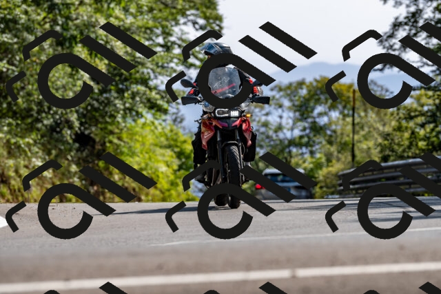 202509071555-DSC_8993_d2_