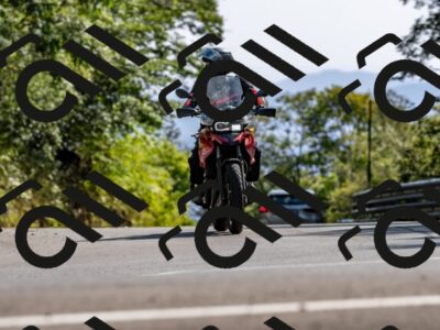 202509071555-DSC_8993_d2_