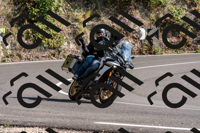 202509071558-DSC_9000_d2_