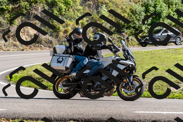 202509071558-DSC_9001_d2_