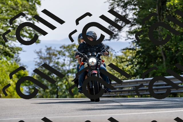 202509071559-DSC_9003_d2_