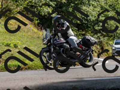 202509071615-DSC_9061_d2_