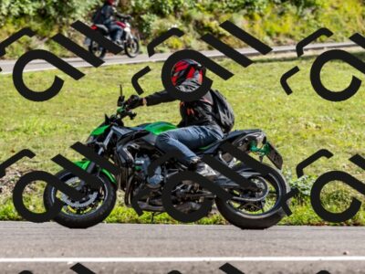 202509071617-DSC_9079_d2_