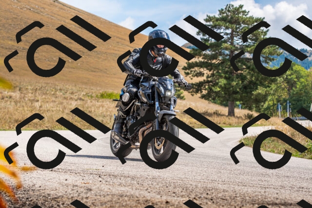 20250907123321-R01_6924_r1