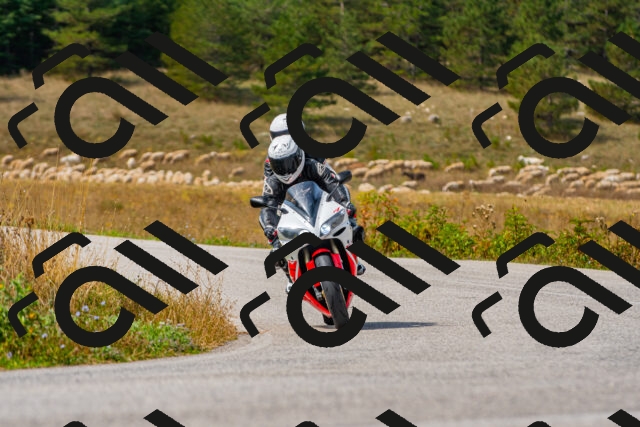 20250907120819_-R022666_r2