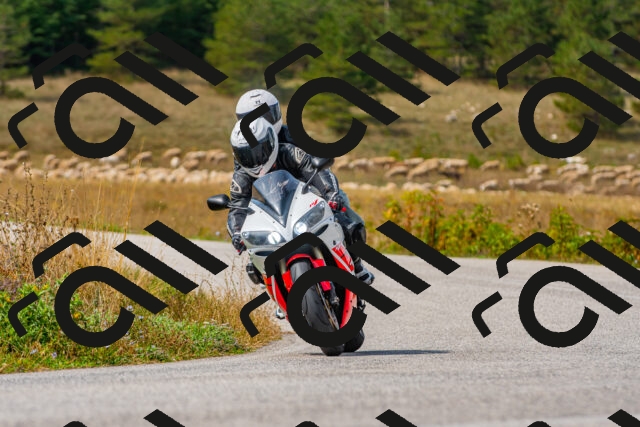 20250907120820_-R022667_r2