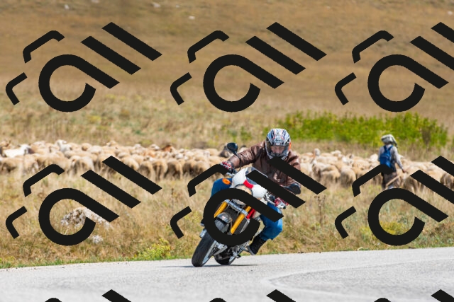 20250907132202_-R022977_r2