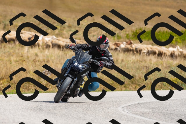 20250907132252_-R022988_r2