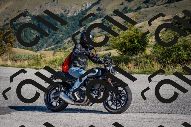 202509131009-DSC_3851_c2